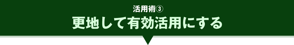 更地して有効活用にする